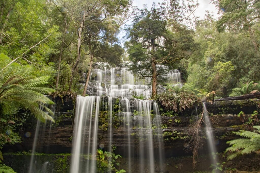 australia, tasmania, mt-2347753.jpg